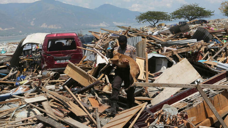 На острове Ява вследствие землетрясения погибли 7 человек